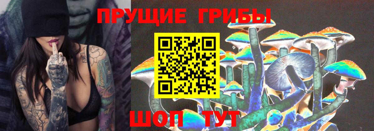 Галлюциногенные грибы Psilocybe Анапа